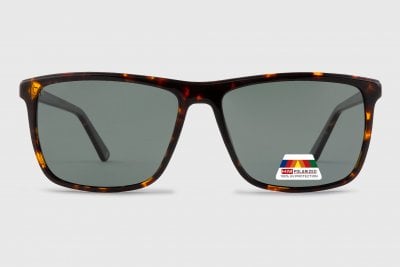 Acetate Polarized