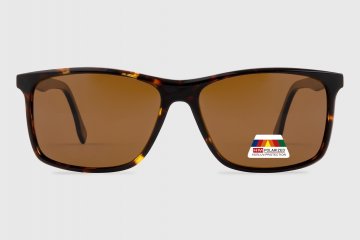 Acetate Polarized