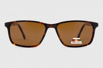 Acetate Polarized