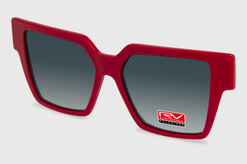 RV824 C1 Clip on