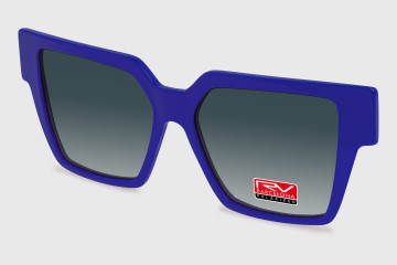 RV824 C2 Clip