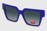 RV824 C2 Clip