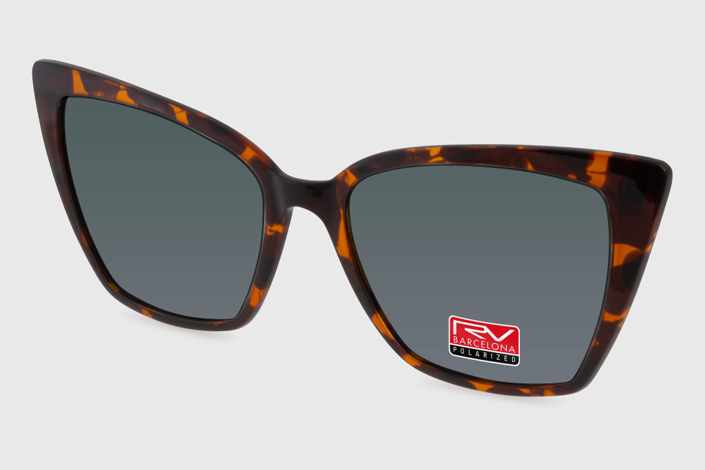 RV875 C2 Clip