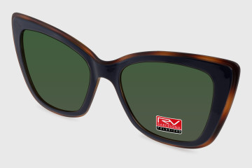 RV878 C2 Clip on